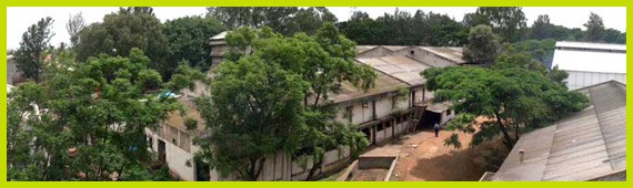 Agro Extracts Plant