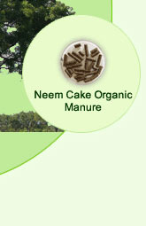 Neem Cake Organic Manure